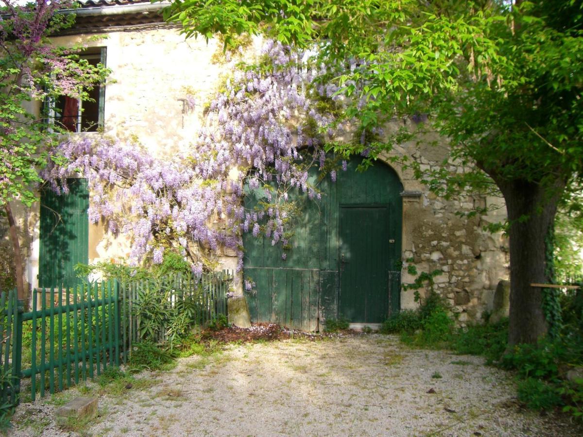 Maison Charmante Avec Terrasse Et Jardin A Noves Kültér fotó